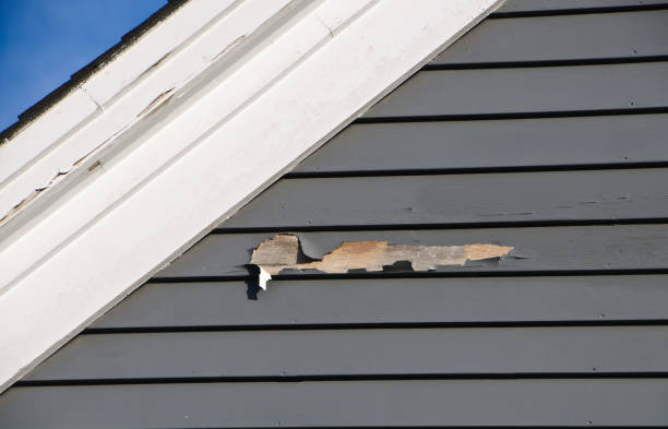 Shed Removal in Palmer Heights, PA