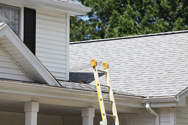 Best Hoarding Cleanup  in Lmer Heights, PA