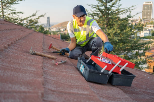 Best Shed Removal  in Lmer Heights, PA